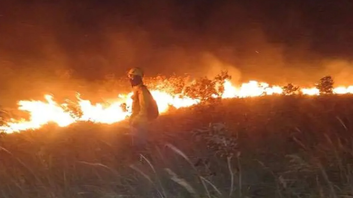 Incendios en el municipio de Roboré -Santa Cruz. Foto: El Deber