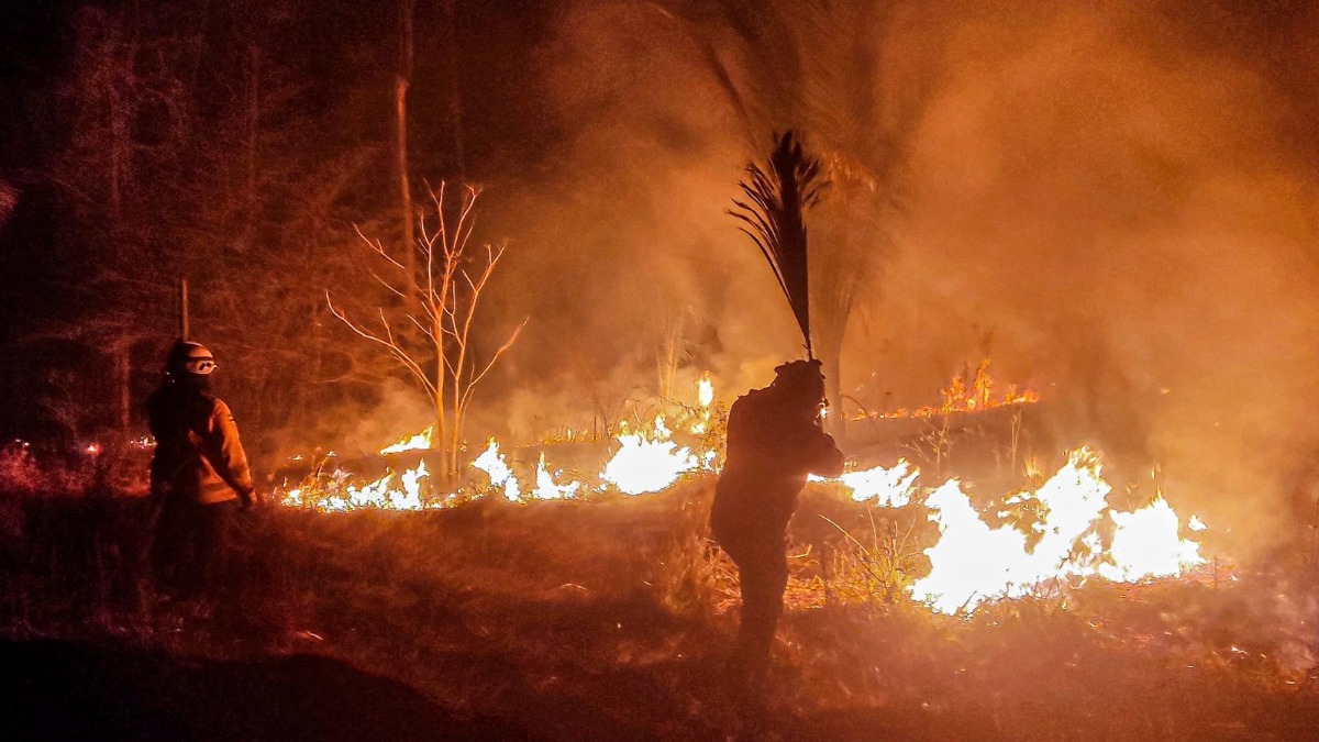 Incendios registrados en el departamento de Santa Cruz. Foto: Internet