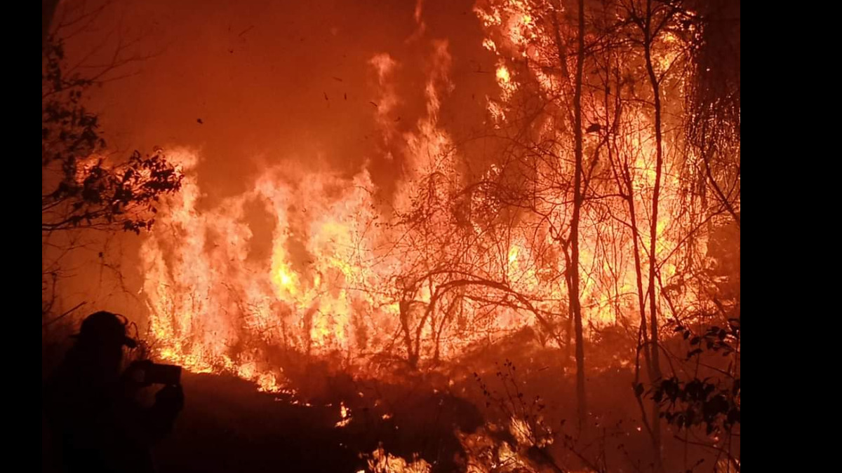 Se reportan  incendios en Santa Cruz desde hace más de un mes. Foto: Gobernación Santa Cruz.