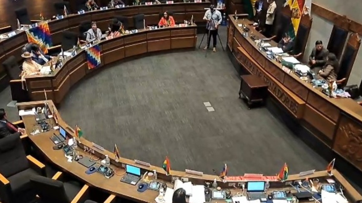 Sesión del pleno de la Cámara de Senadores. Foto: RRSS