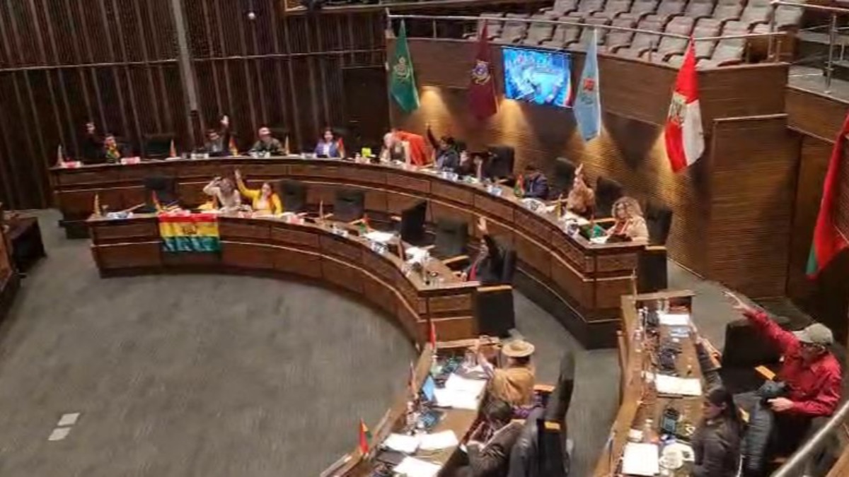 Votación en la Cámara de Senadores. Foto: ANF