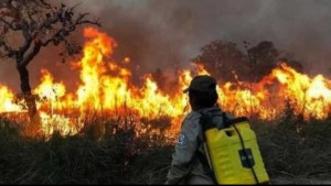 En 10 años Bolivia perdió 40.8 millones de hectáreas de bosques y pastizales por incendios