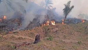 “Estamos sacando dinero de donde no hay”, “se nos salió de las manos los incendios