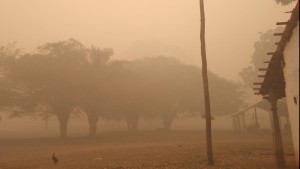 Gobierno declara alerta sanitaria por la contaminación del aire y recomienda uso de barbijo