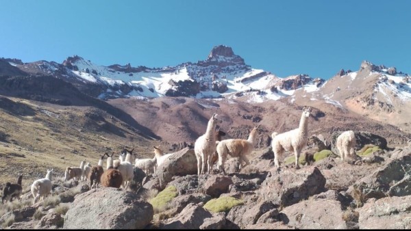 Foto: cortesía