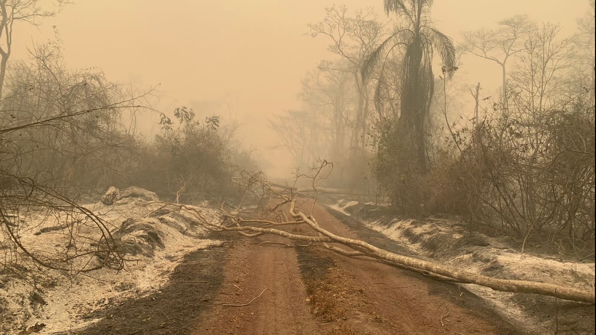 Así quedó la comunidad El Verano, en Concepción. Foto: Radio Chiquitania 95.5 Concepción