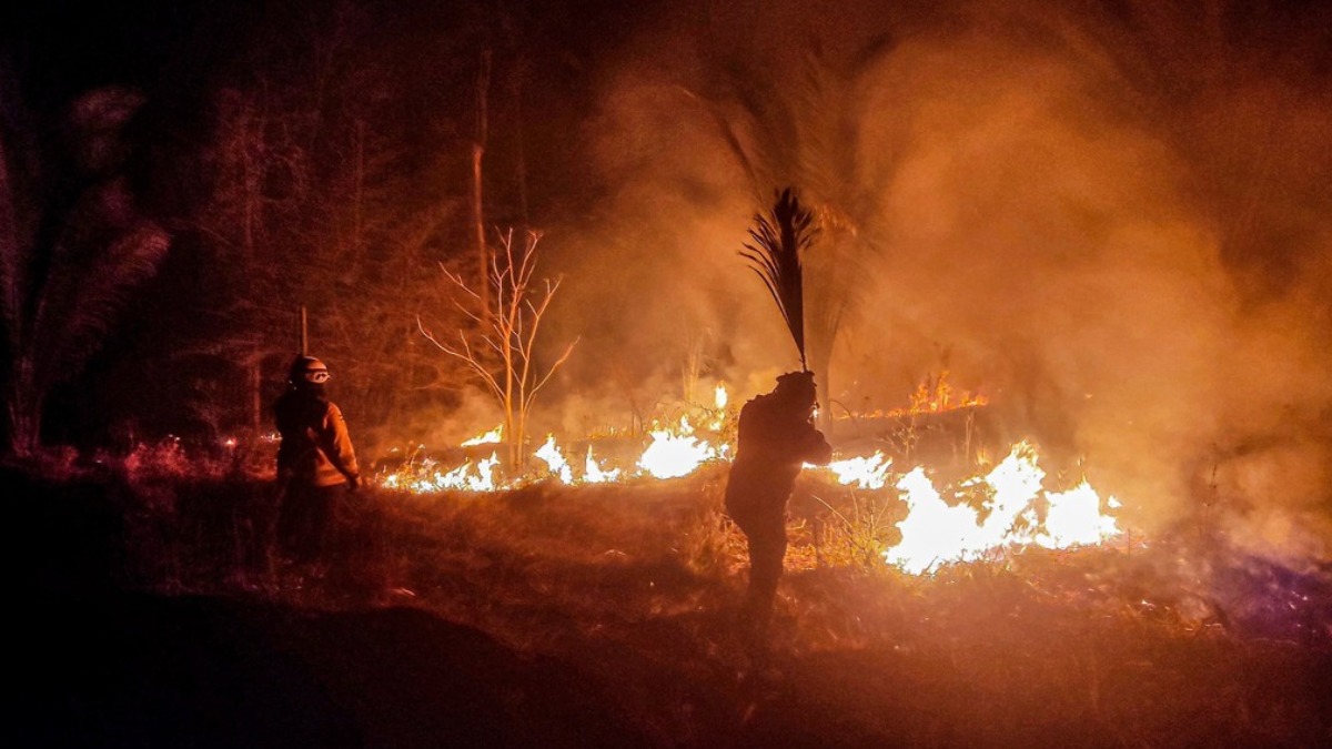 Bomberos en el incendio en Concepción. Foto: ABI