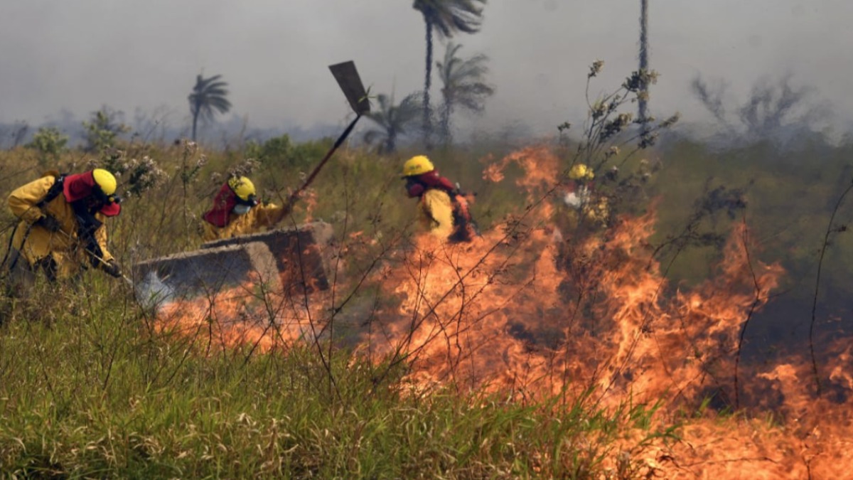 Bomberos mitigando los focos de calor. Foto: ABI