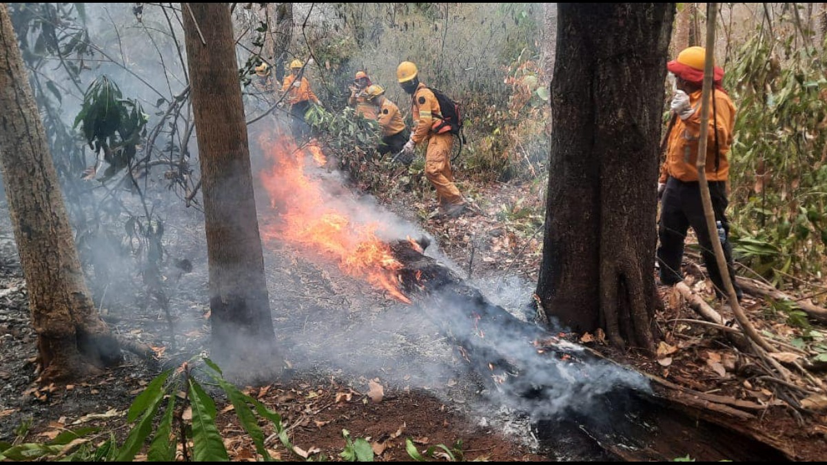 Bomberos sofocan un incendio en Santa Cruz. Gobernación de Santa Cruz