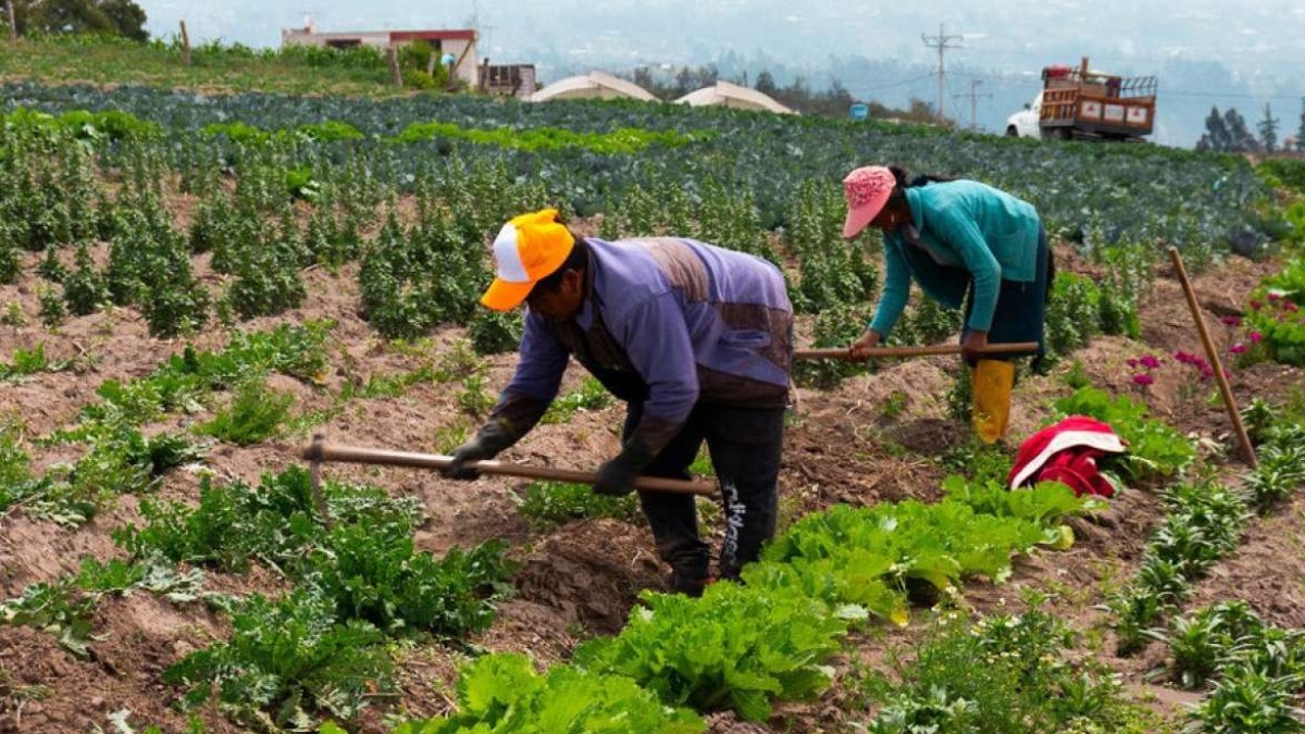 Campesinos trabajando su tierras. Foto: Internet