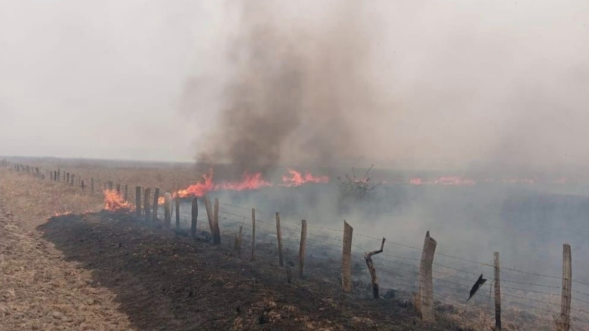 El fuego arrasa en una región del Beni. Foto: Fernando Gutiérrez