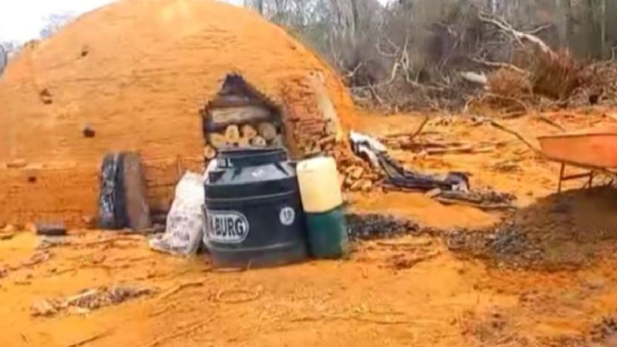 El horno para la elaboración de carbón en el área protegida de San Rafael. Foto: Captura