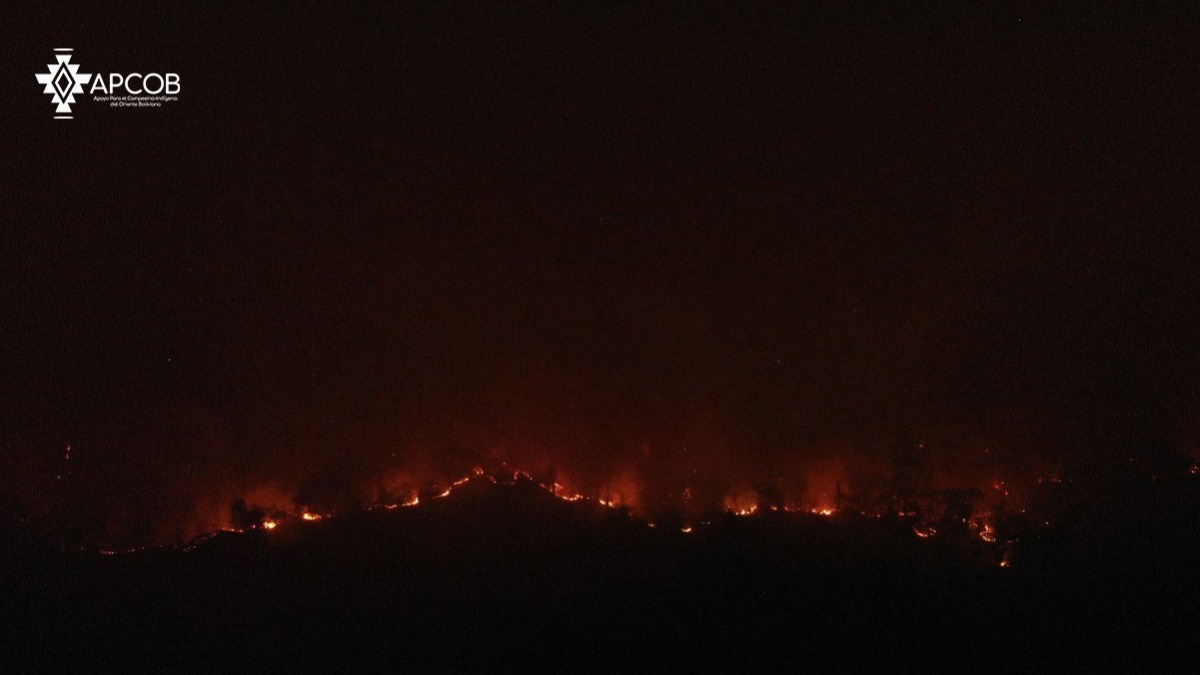 Esta semana, en la TCO Monte Verde este era el escenario. Foto: APCOB