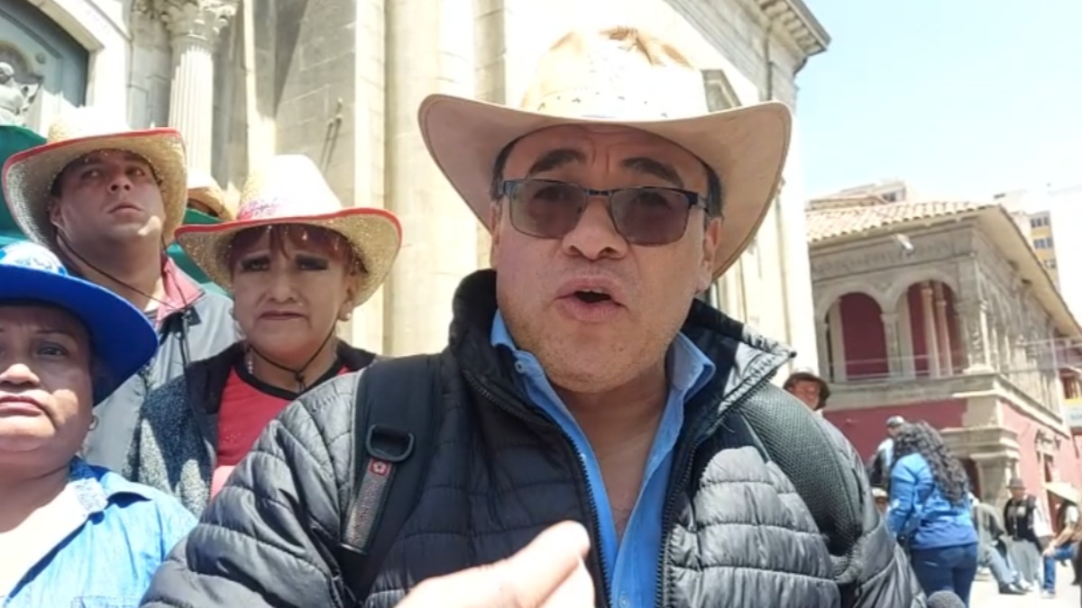 El jefe de la bancada del MAS, Jerges Mercado. Foto: ANF