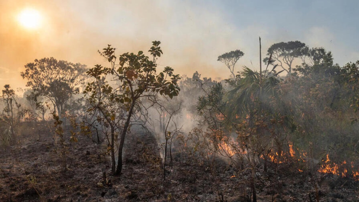 Incendio en la Amazonía de Brasil.