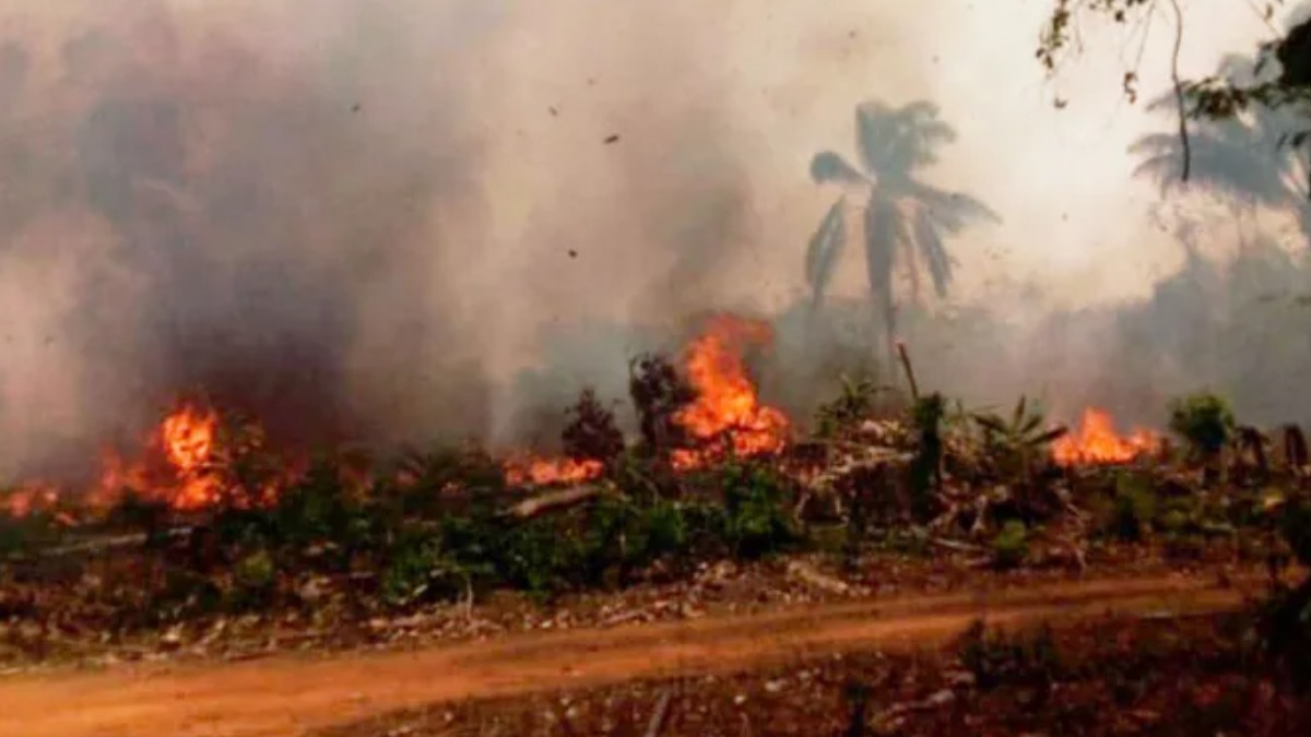 Incendios en  el departamento de Santa Cruz. Foto: Abi