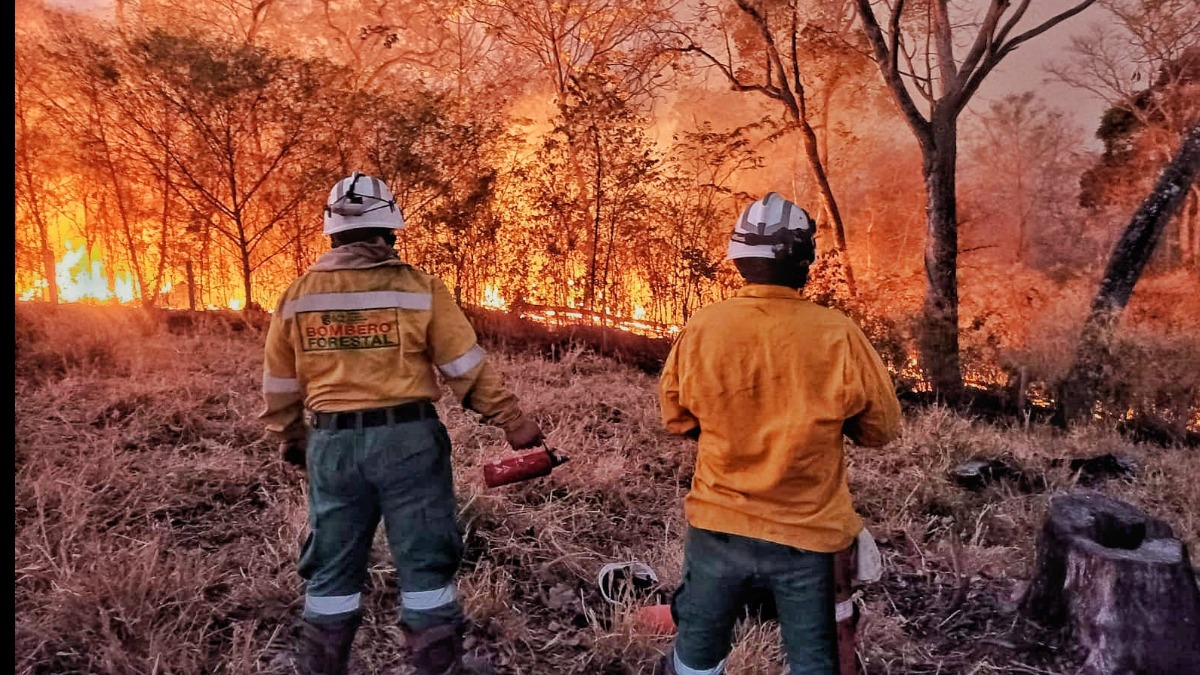 Incendios en el departamento de Santa Cruz. Foto: Gobernación de Santa Cruz.