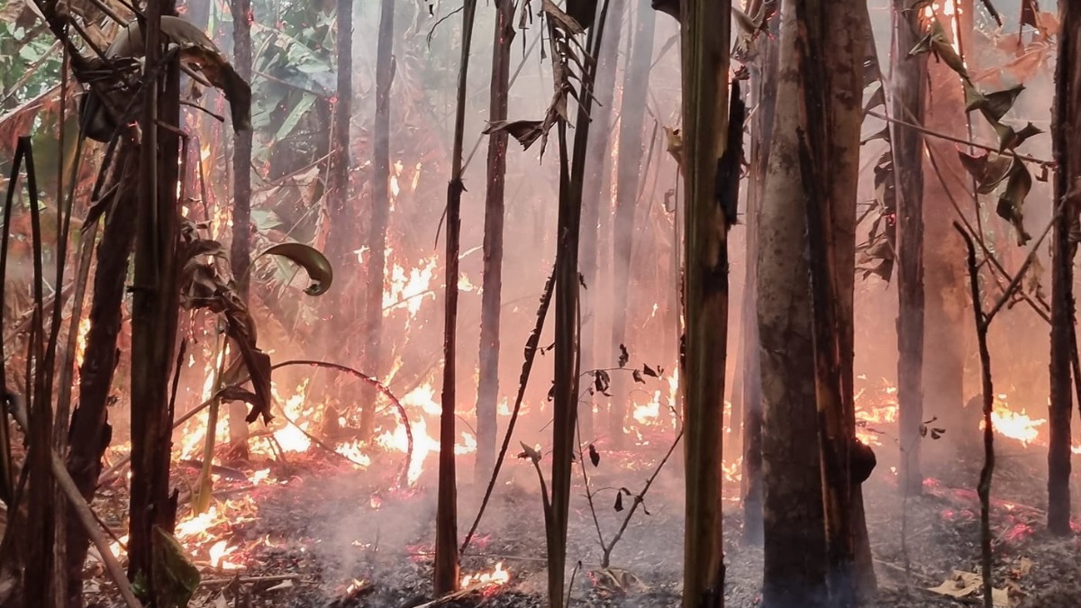 Incendios en el departamento del Beni. Foto: Gobernación del Beni