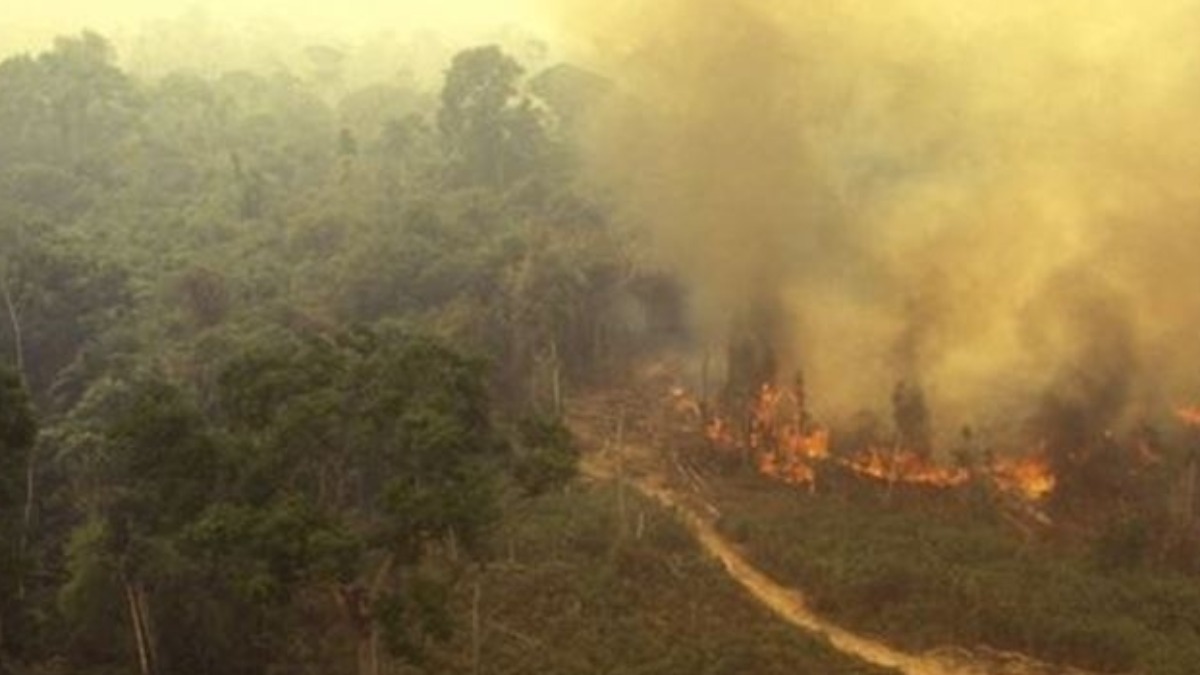 Incendios en el territorio boliviano. Foto: Internet