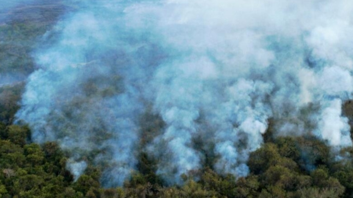 Incendios en la Amazonía de Brasil.