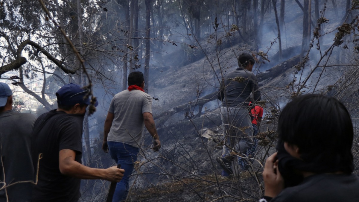 Incendios forestales en Sudamérica. Foto: A.I.