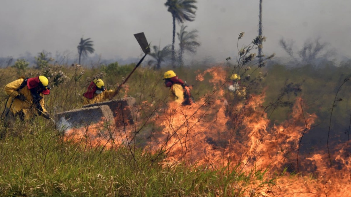 Incendios. Foto: Archivo ABI