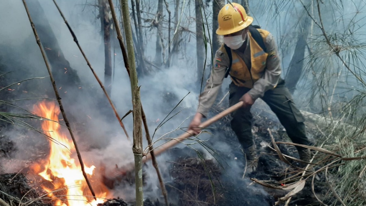 Incendios. Foto: Ministerio Medio Ambiente