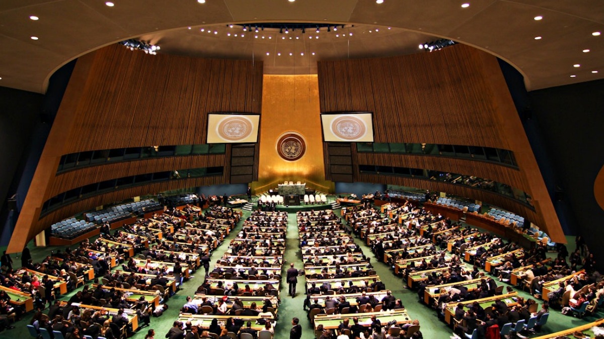 La Asamblea General de las Naciones Unidas.