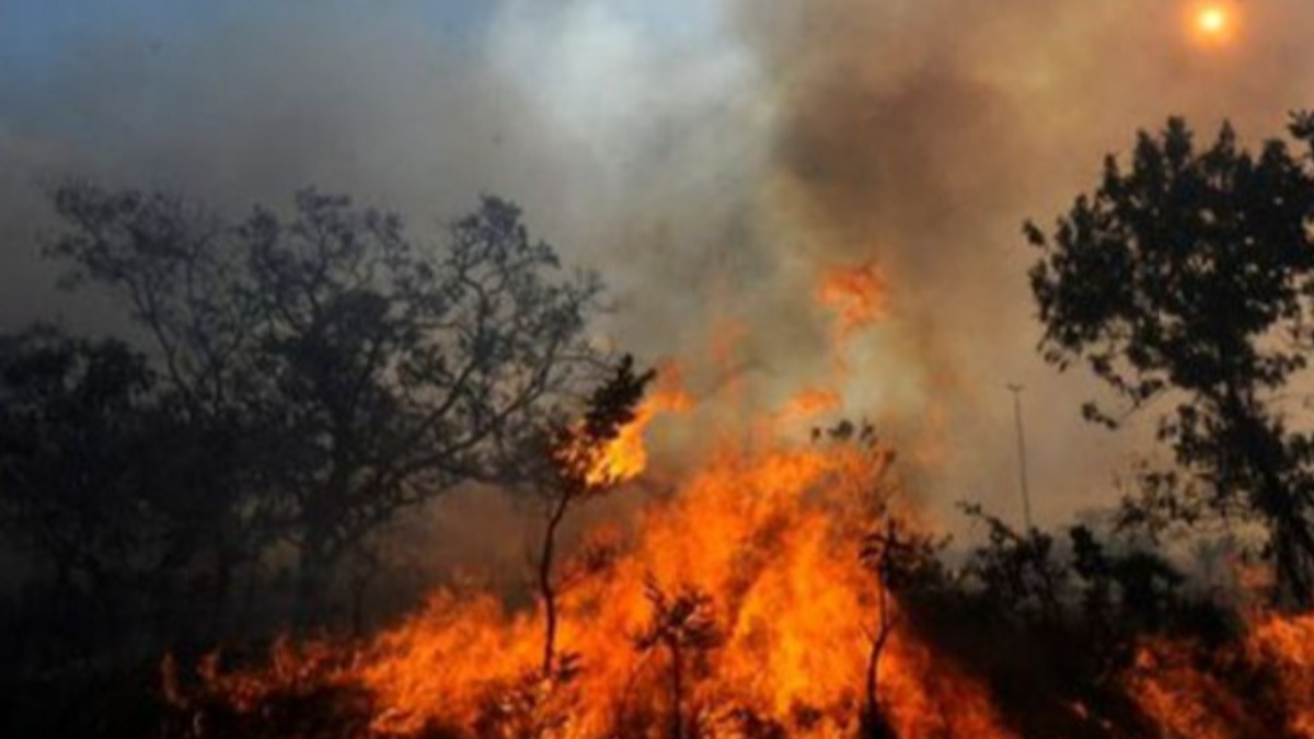 Los incendios en Bolivia