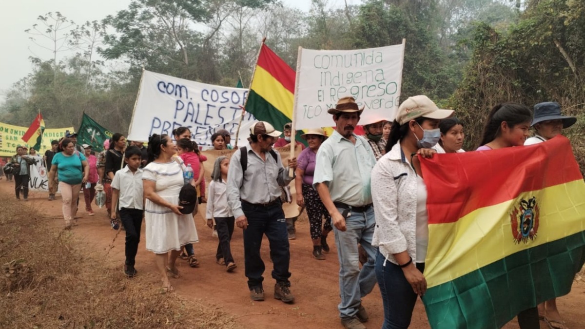 Marcha “Por la Continuidad de la Vida de los Bosques y el Territorio”. Foto: Cortesía