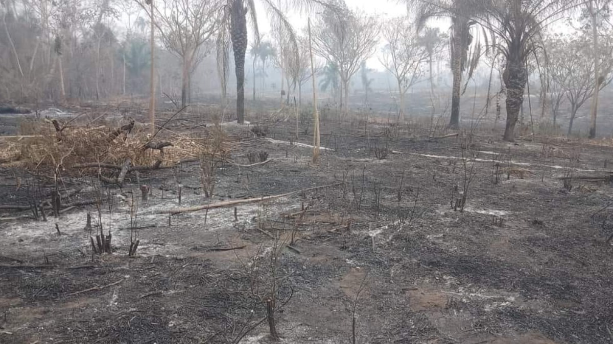 Panorama del municipio de Concepción después del incendio. Foto: RCB Noticias Concepción