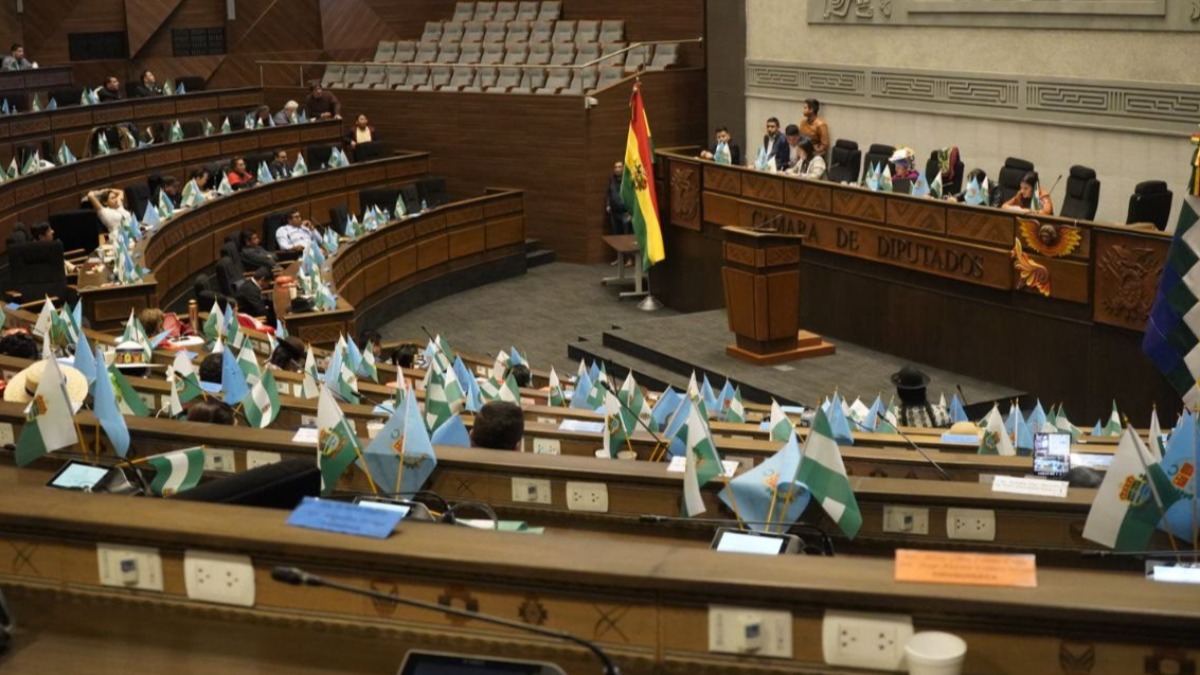 Sesión en la Cámara de Diputados. Foto: RRSS