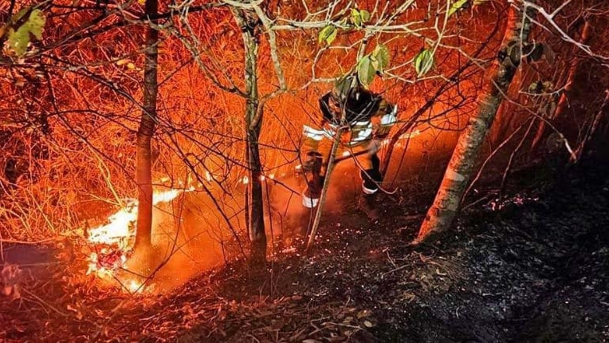 Un bombero trabaja para sofocar un incendio en el Beni. Foto: Gobernación del Beni