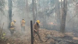 Apoyo de la UE contra incendios en Bolivia ascendió a € 1,3 millones