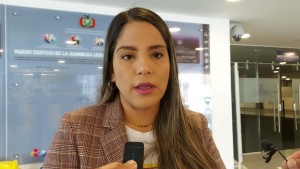 Hija de Añez: El caso golpe se cae y las develaciones de Lima y Evo están en petición ante la CIDH