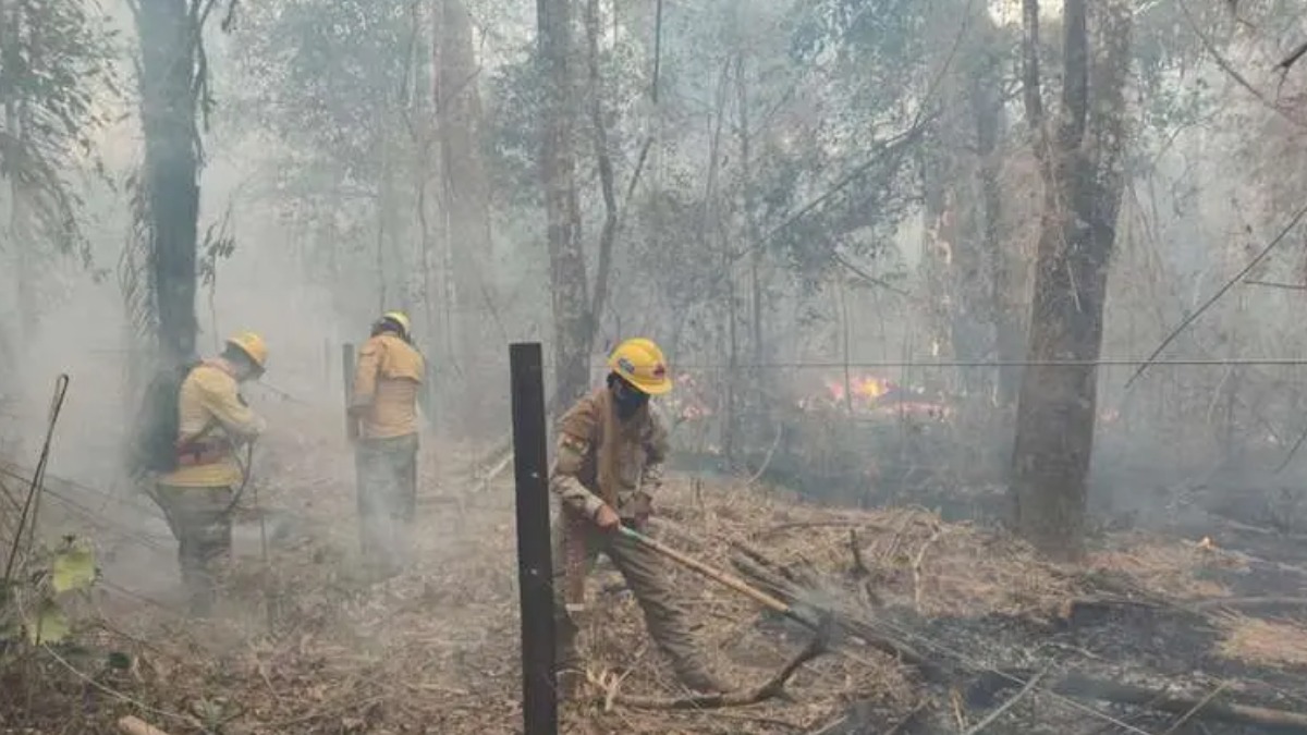 Bomberos apagando incendios en la Chiquitania - Santa Cruz. Foto: Internet