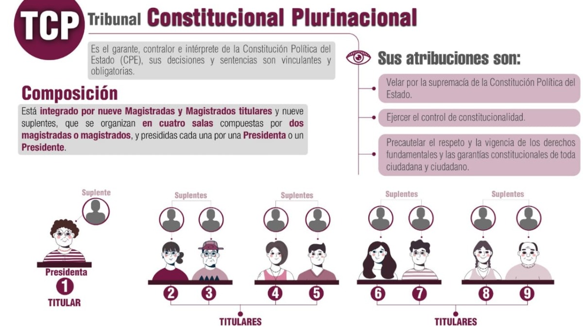 Composición del Tribunal Constitucional Plurinacional (TCP).   Foto: TSE