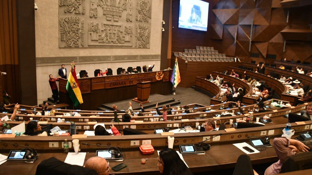 Foto: Cámara de Diputados