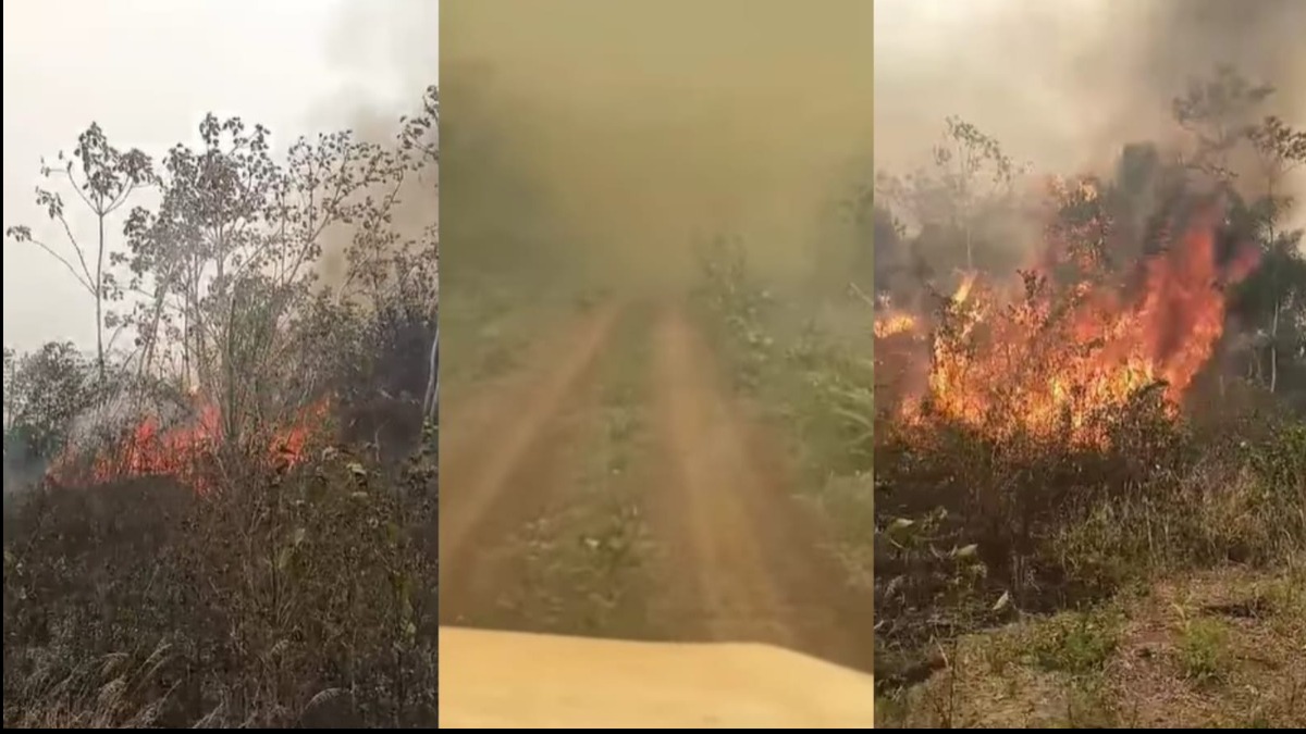 Incendios en el Baure y en la comunidad El Cairo II. Foto: ANF