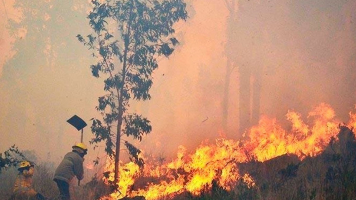 Los incendios continúan en Bolivia.