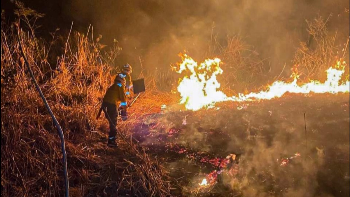 Los incendios fueron devastadores este 2024. Foto: Gobernación Santa Cruz