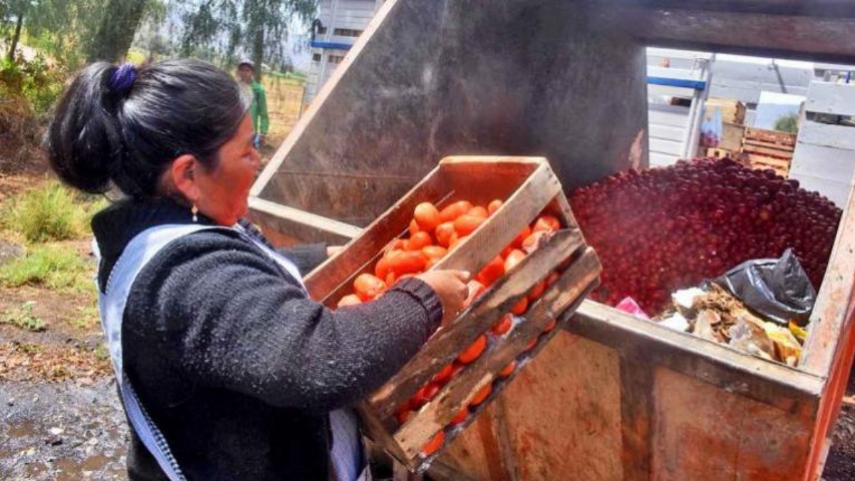 Productores desechan cajas de tomates en Cochabamba. Foto: Los Tiempos