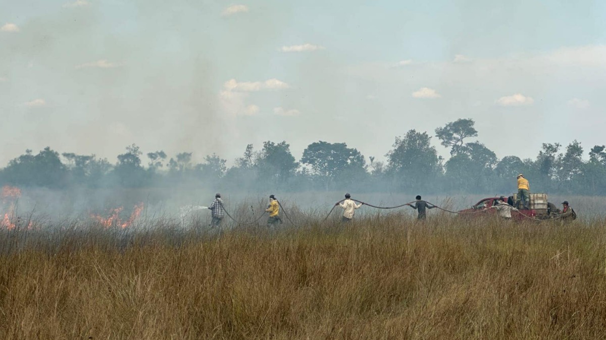 Todo un equipo trabajando en la sofocación del fuego. Foto: Gobernación Santa Cruz