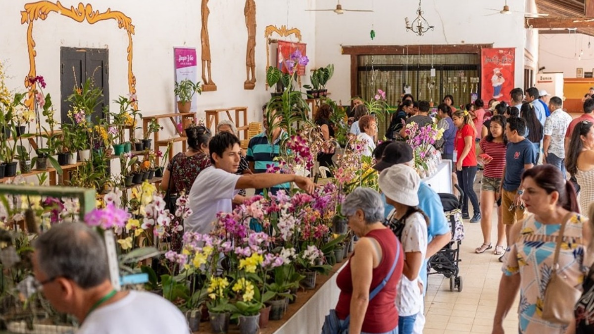 Un anterior Festival de la Orquídea. Foto: Cortesía