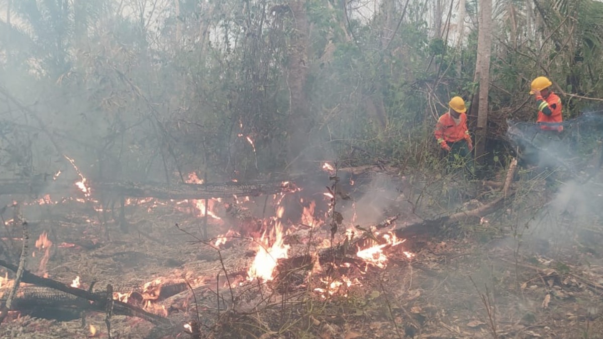 Un grupo de bomberos sofocan los incendios en Riberalta. Foto: RRSS