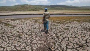 Cambio climático: Sequía impacta en el rendimiento de cultivos y causa abandono de tierras agrícolas