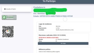 La información que aparece al ingresar a Yo participo del TSE. Foto: captura