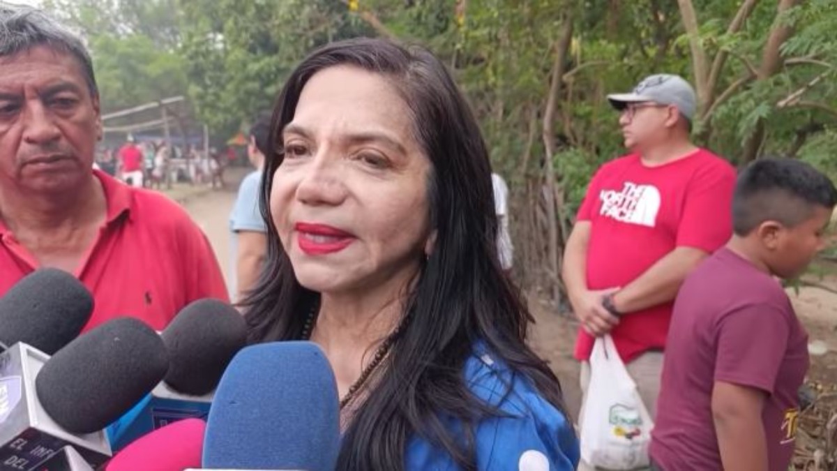 Candidata al TSJ Arminda Méndez. Foto: Captura