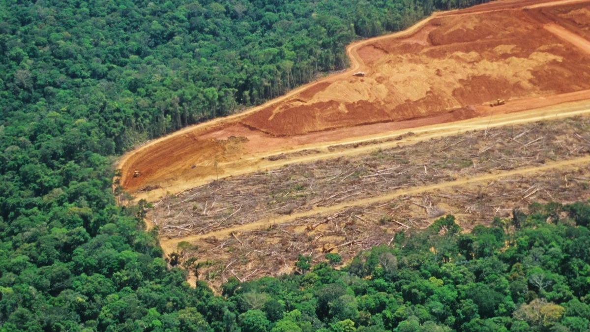 Deforestación en la Amazonía de Brasil.