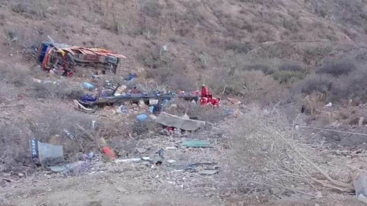 El bus embarrancado en la ruta Tarija-Tupiza. Foto: RRSS